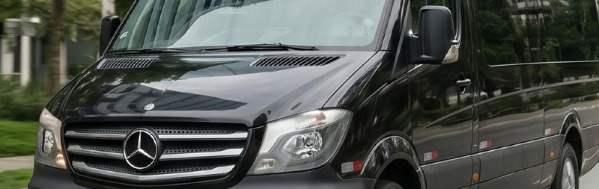 Serviços De City Tour